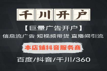 百度竞价代运营成功案例解析
